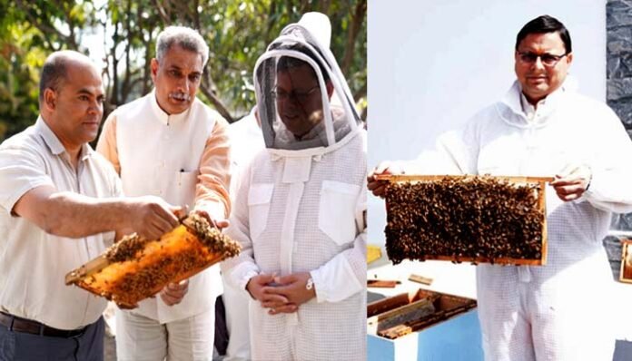 40 kg honey in CM housing complex