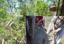 पौड़ी गढ़वाल: पेड़ से लटका मिला 19 साल के लड़के का शव, घर वालों से नौकरी के लिए कहकर हरिद्वार के लिए निकला था युवक