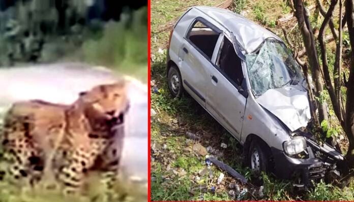 Guldar came in front of car