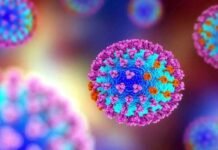 रहें सावधान:देश में तेजी के साथ पैर पसार रहा H3N2 इन्फ्लूएंजा वायरस, 2 मरीजों की मौत, कोविड जैसे ही लक्षण, जानिए कैसे फैलता है और बचाव H3N2 influenza virus