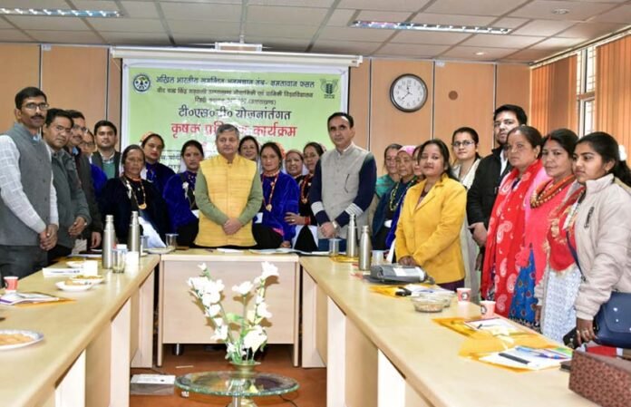 day training program