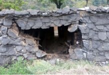 पौड़ी गढ़वाल: बारिश के चलते जर्जर मकान ढहा, मलबे में दबने से 82 वर्षीय बुजुर्ग महिला घायल, अस्पताल में भर्ती dilapidated house collapse in Pauri Garhwal