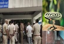 रहें सावधान: दिल्ली में एक ही परिवार के 6 लोगों की मौत, रात में मच्छर मारने वाली कॉइल जलाकर सो गए थे mosquito coil From 6 people died in Delhi