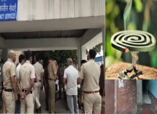 रहें सावधान: दिल्ली में एक ही परिवार के 6 लोगों की मौत, रात में मच्छर मारने वाली कॉइल जलाकर सो गए थे mosquito coil From 6 people died in Delhi