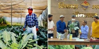 उत्तराखंड के किसान का जज्बा, जाड़ों में उगाई जाने वाली ब्रोकली को उगा रहा है 37°c तापमान वाली गर्मी में, जैविक पद्धति से की जा रही है तैयार Broccoli