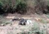 माफिया अतीक अहमद का बेटा एनकाउंटर में ढेर Mafia Atiq Ahmeds son asad killed in encounter