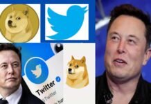 एलन मस्क ने Twitter का LOGO बदला, अब नीली चिड़िया की जगह दिख रहा है कुत्ता, यूजर्स हैरान Twitter logo changed from bird to dog