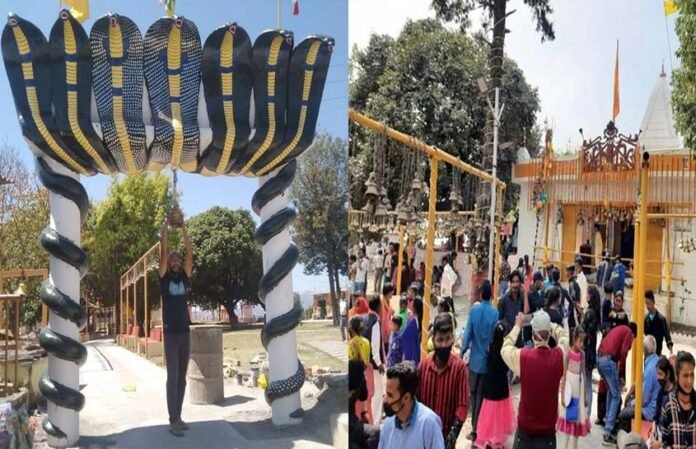 danda-nagraja-mandir danda-nagraja- mela