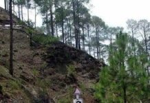 पौड़ी-सतपुली मोटर मार्ग पर सड़क किनारे खड़े युवक-युवती को बोलेरो वाहन ने मारी टक्कर, खाई में गिरी युवती, युवक घायल pauri teka road girl fell into ditch