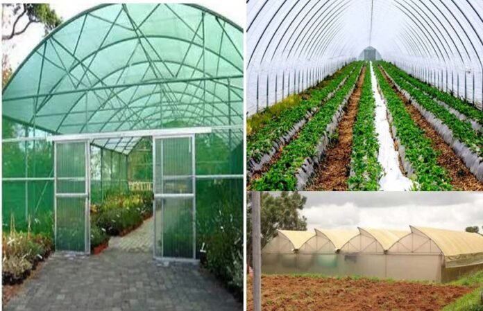 polyhouses in Uttarakhand