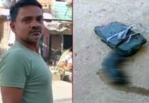 यूपी में एक युवक को चूहा मारना पड़ गया महंगा, चूहे की हत्या के आरोप में पुलिस ने युवक के खिलाफ कोर्ट में दाखिल की 30 पन्नों की चार्जशीट rat-killing-case