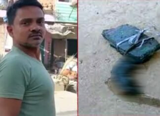 यूपी में एक युवक को चूहा मारना पड़ गया महंगा, चूहे की हत्या के आरोप में पुलिस ने युवक के खिलाफ कोर्ट में दाखिल की 30 पन्नों की चार्जशीट rat-killing-case