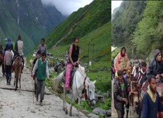 केदारनाथ यात्रा में चमोली जनपद के घोड़ा-खच्चर संचालकों की नहीं होगी उपेक्षा: महाराज Horse-mule operators of Chamoli district will not be neglected in Kedarnath Yatra