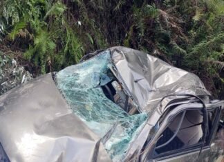 दुखद: खाई में गिरी कार, दर्दनाक हादसे में 5 लोगों की मौत car accident in tehri