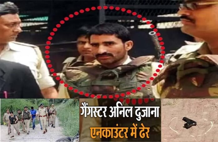 gangster-Anil-Dujana-killed gangster Anil Dujana killed in encounter