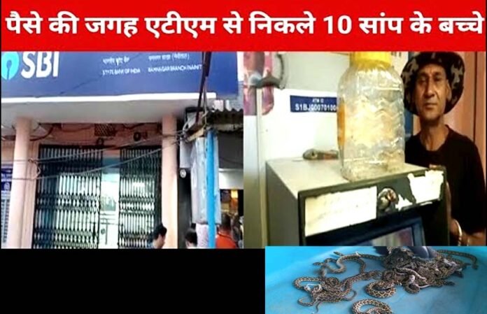 snake babies started coming out instead of notes in SBI ATM