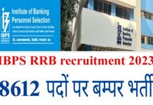 Government Jobs: बैंक क्लर्क, पीओ भर्ती के लिए आवेदन शुरू, 8600 पदों पर निकली है वैकेंसी, ऐसे करें अप्लाई IBPS RRB recruitment 2023
