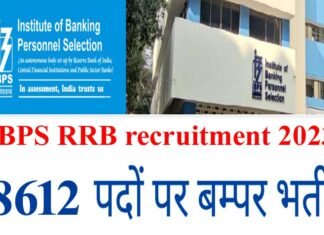 Government Jobs: बैंक क्लर्क, पीओ भर्ती के लिए आवेदन शुरू, 8600 पदों पर निकली है वैकेंसी, ऐसे करें अप्लाई IBPS RRB recruitment 2023