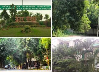 ग्रेटर नोएडा के सेक्टरों में अब पेड़ों की छंटाई की शिकायतें जल्द हो सकेगी दूर Pruning of trees in sectors of Greater Noida