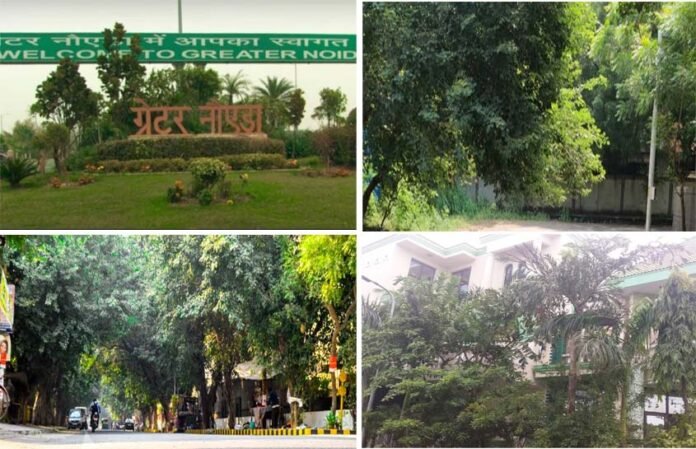 Pruning of trees in sectors of Greater Noida