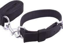 उत्तराखंड: खेल-खेल में 12 साल के बच्चे के गले में फंसा कुत्ते का पट्टा, दम घुटने से गई जान boy dies after dog leash gets stuck in his neck