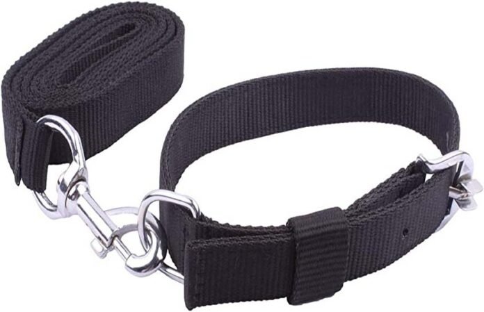 boy dies after dog leash gets stuck in his neck