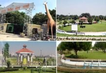 ग्रेनो वेस्ट में भी बनेगा सिटी पार्क जैसा थीम पार्क, सीईओ रितु माहेश्वरी ने उद्यान विभाग को दिए निर्देश city park greater noida