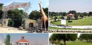ग्रेनो वेस्ट में भी बनेगा सिटी पार्क जैसा थीम पार्क, सीईओ रितु माहेश्वरी ने उद्यान विभाग को दिए निर्देश city park greater noida