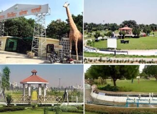 ग्रेनो वेस्ट में भी बनेगा सिटी पार्क जैसा थीम पार्क, सीईओ रितु माहेश्वरी ने उद्यान विभाग को दिए निर्देश city park greater noida
