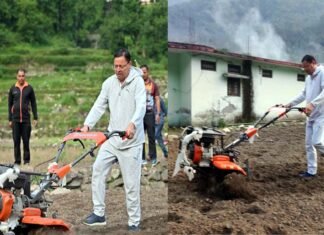 मुख्यमंत्री धामी ने ग्राम सिरोर के खेतों में की मंडुआ की बोआई Chief Minister Dhami sowed Mandua in village Siror