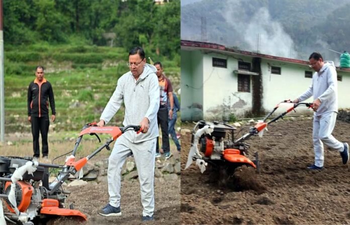 Chief Minister Dhami sowed Mandua in village Siror