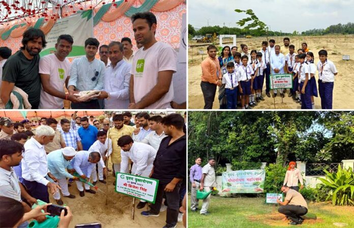 Greater Noida Authority planted 1.18 lakh saplings