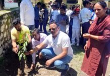 लायंस इंटरनेशनल क्लब श्रीनगर ने किया फलदार पौधों का रोपण Lions International Club Srinagar planted fruit trees