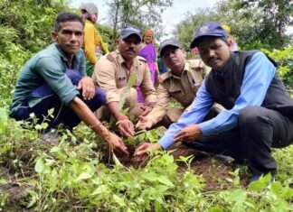 ग्राम पंचायत डांगी में हरेला सप्ताहिक पखवाड़ा के तहत वृक्षारोपण Plantation under Harela