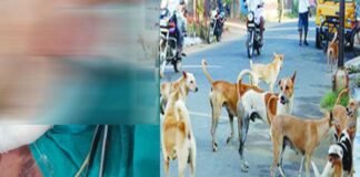 पौड़ी में 5 साल की मासूम बच्ची को आवारा कुत्तों ने नोच डाला, गंभीर हालत में बेस अस्पताल श्रीनगर में भर्ती Stray dogs mauled a 5-year-old girl in Pauri