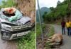उत्तराखंड : यहाँ पहाड़ी से फिसलकर सड़क पर चलती कार के ऊपर गिरा बैल bull fell on the road after slipping from the hill