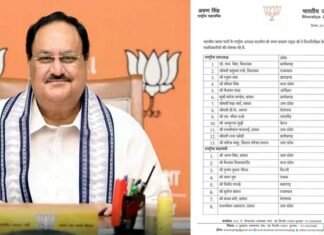 2024 की तैयारी: जेपी नड्डा ने बनाई नई टीम, AMU के पूर्व कुलपति समेत 13 राष्ट्रीय उपाध्यक्ष किए नियुक्त, उत्तराखंड से इन्हें मिली टीम में जगह, देखें पूरी लिस्ट
