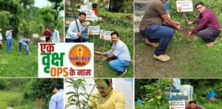 एक पौधा पुरानी पेंशन बहाली के नाम, भारी बारिश में भी पेंशन के नाम पर प्रदेश भर में लगाए गए पौधे