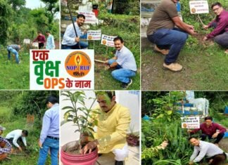 एक पौधा पुरानी पेंशन बहाली के नाम, भारी बारिश में भी पेंशन के नाम पर प्रदेश भर में लगाए गए पौधे