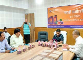 पौड़ी डीएम ने लांच किये बेडू से बने उत्पाद, पहले ही आर्डर में भेजे एक लाख रुपये से ज्यादा के प्रोडक्ट products made from Bedu