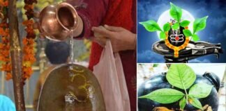शिवलिंग पर क्यों चढ़ाते हैं जल?, श्रावण मास में शिवजी की पूजा के लिए बेलपत्र क्यों है जरूरी? belpatra chadhate hue