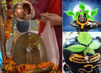 शिवलिंग पर क्यों चढ़ाते हैं जल?, श्रावण मास में शिवजी की पूजा के लिए बेलपत्र क्यों है जरूरी? belpatra chadhate hue