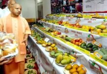 UP Mango Festival 2023: सीएम योगी ने ‘उत्तर प्रदेश आम महोत्सव 2023’ का किया उद्घाटन, आम की 725 प्रजातियों की लगी है प्रदर्शनी mango-festival-2023
