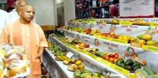 UP Mango Festival 2023: सीएम योगी ने ‘उत्तर प्रदेश आम महोत्सव 2023’ का किया उद्घाटन, आम की 725 प्रजातियों की लगी है प्रदर्शनी mango-festival-2023