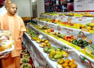 UP Mango Festival 2023: सीएम योगी ने ‘उत्तर प्रदेश आम महोत्सव 2023’ का किया उद्घाटन, आम की 725 प्रजातियों की लगी है प्रदर्शनी mango-festival-2023