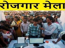 नोएडा में कल लगेगा रोजगार मेला: 10वीं पास से लेकर स्नातक तक के बेरोजगार युवक-युवतियों के लिए रोजगार पाने का सुनहरा मौका Employment-fair-2023