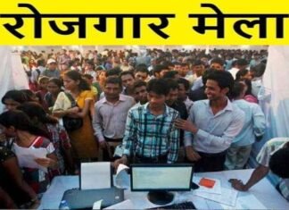 नोएडा में कल लगेगा रोजगार मेला: 10वीं पास से लेकर स्नातक तक के बेरोजगार युवक-युवतियों के लिए रोजगार पाने का सुनहरा मौका Employment-fair-2023