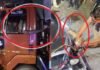 ग्रेटर नोएडा : ट्रक के केबिन में घुसा अजगर, ट्रक को सड़क पर ही छोड़कर बाहर कूदे चालक और हेल्पर Python entered truck cabin in Greater Noida