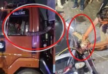 ग्रेटर नोएडा : ट्रक के केबिन में घुसा अजगर, ट्रक को सड़क पर ही छोड़कर बाहर कूदे चालक और हेल्पर Python entered truck cabin in Greater Noida