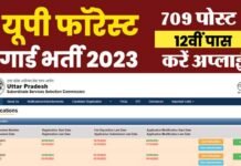 Forest Guard Recruitment 2023: यूपी में फॉरेस्ट गार्ड के 709 पदों पर भर्ती के लिए आवेदन शुरू, 12वीं पास जल्द करें अप्लाई UPSSSC Forest Guard Recruitment 2023